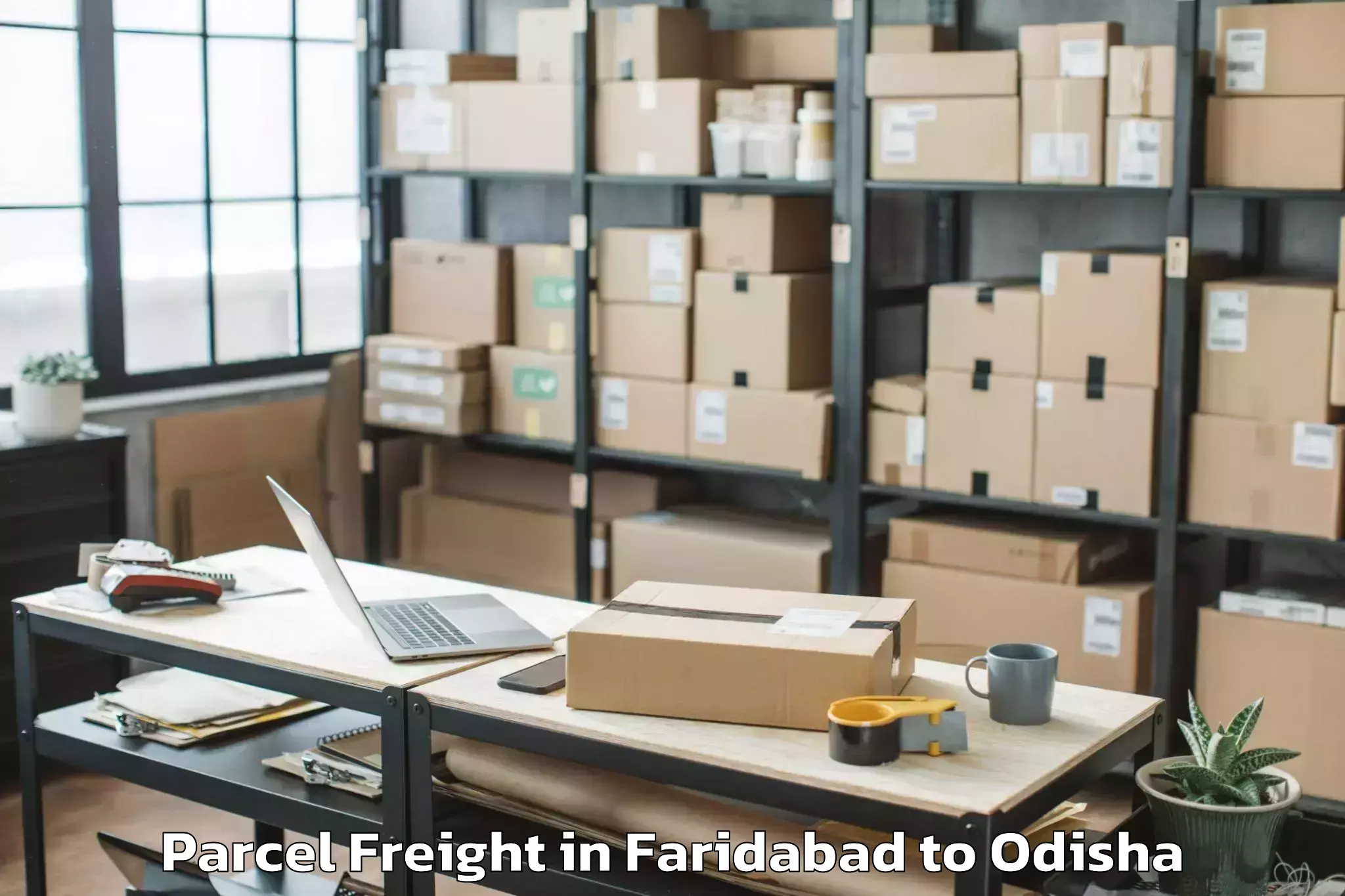 Faridabad to Delang Parcel Freight